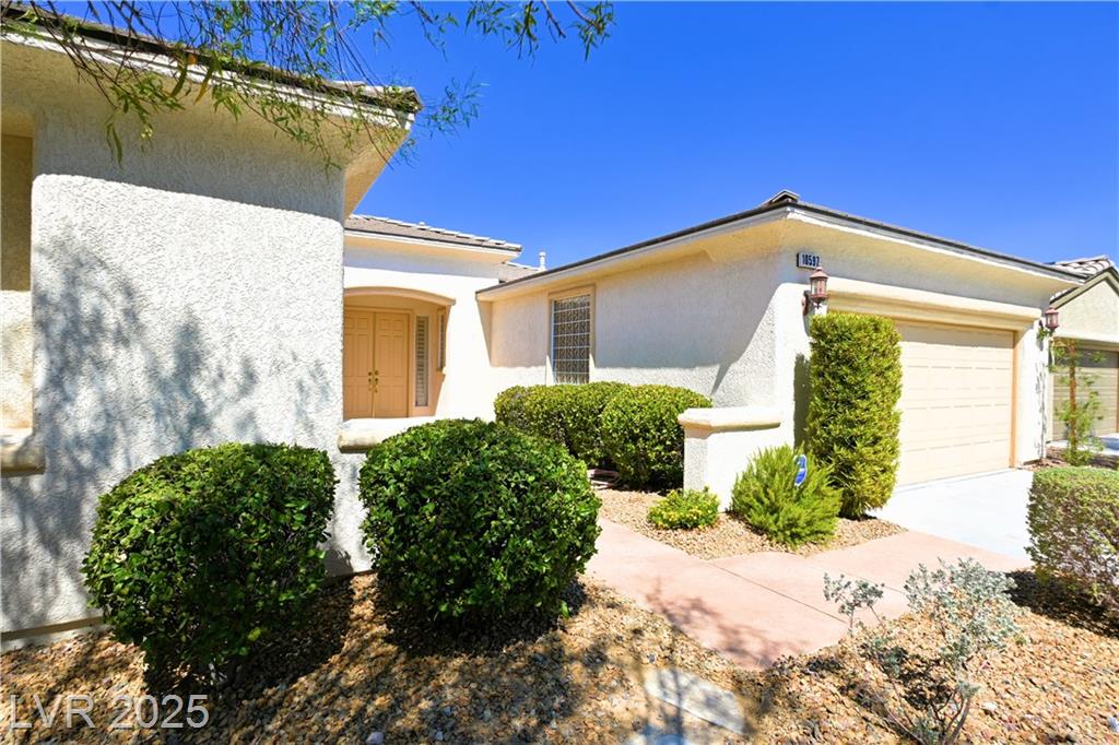 10597 Sopra CT