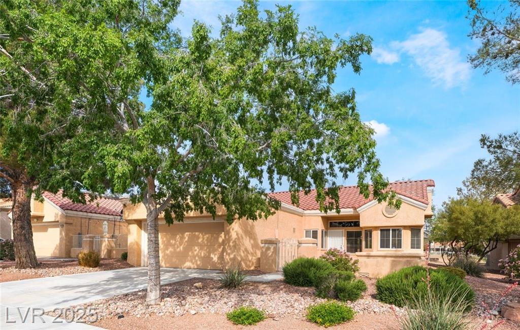 2505 Showcase DR