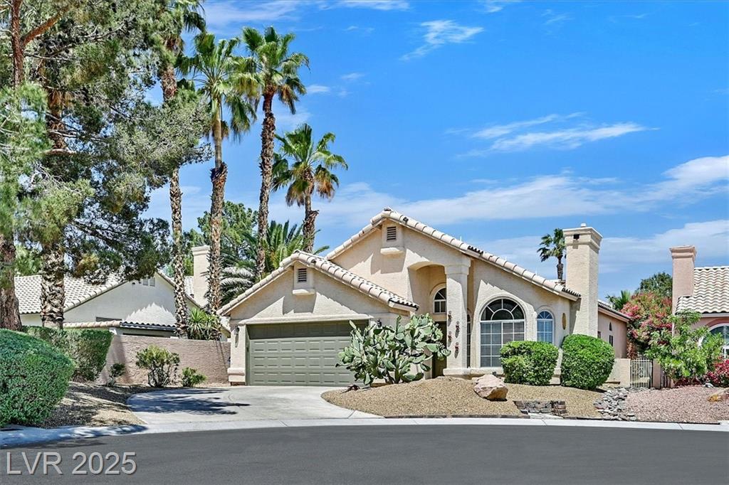 7628 Desert Cactus CIR