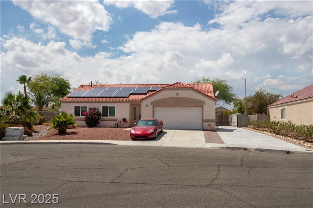 5819 Orchid Jungle LN