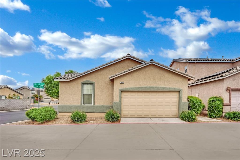 2625 Chin Cactus CT
