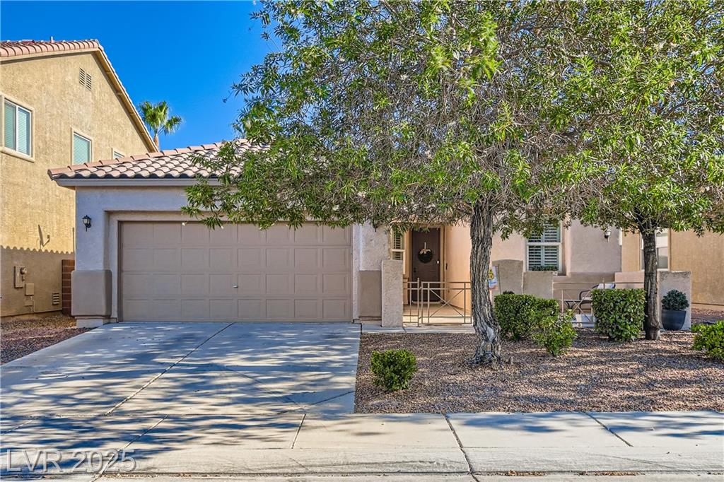 2109 Silvereye DR