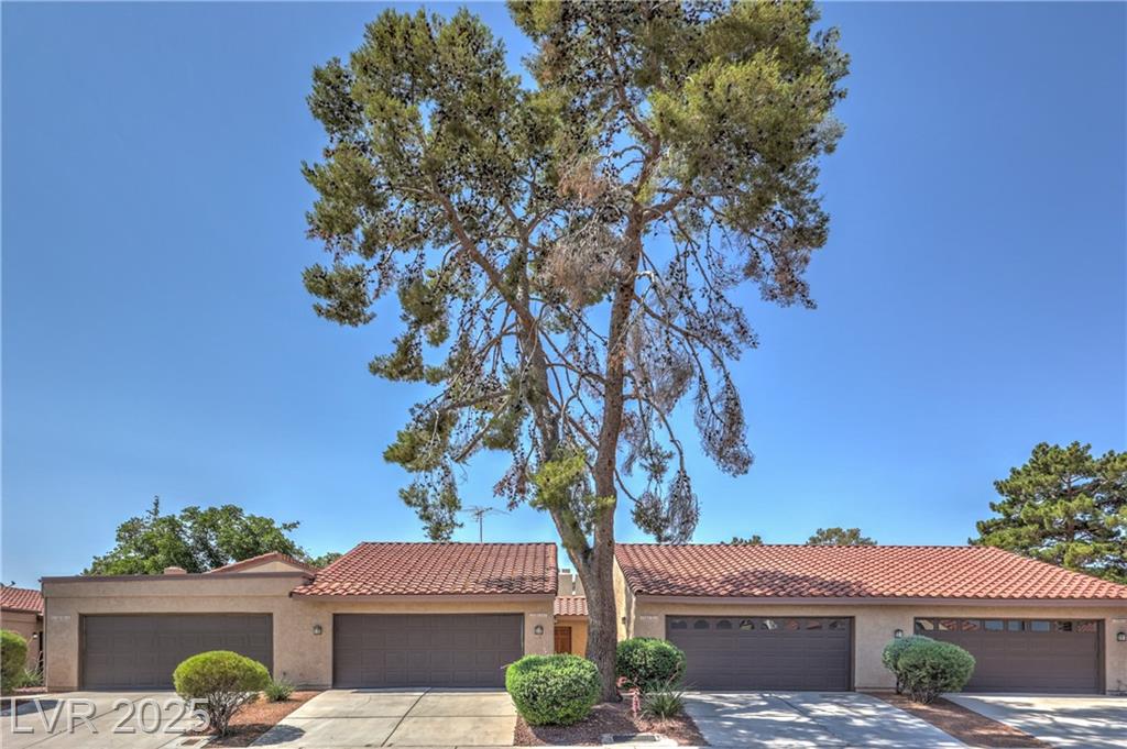 1857 Arbol Verde WAY