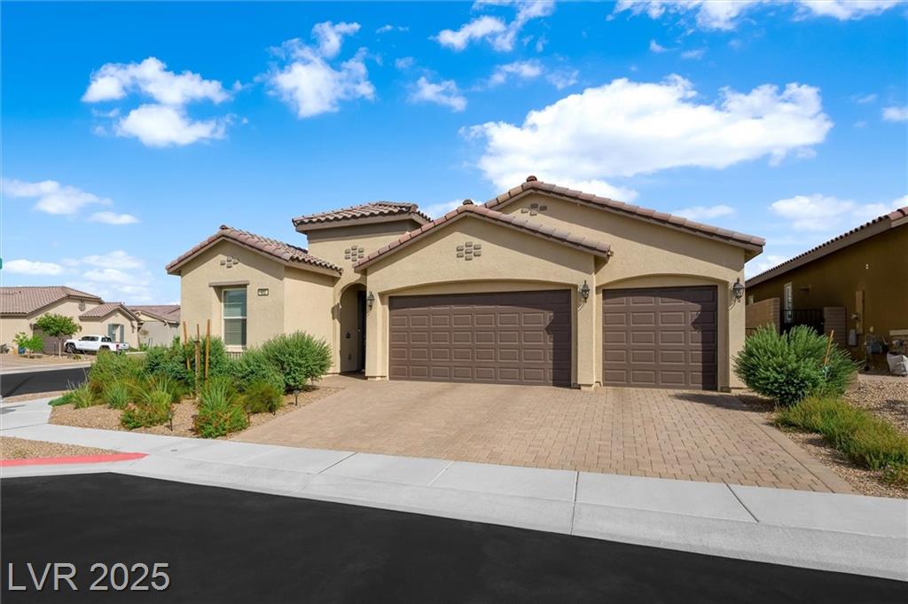 602 Desert Bluebell CT