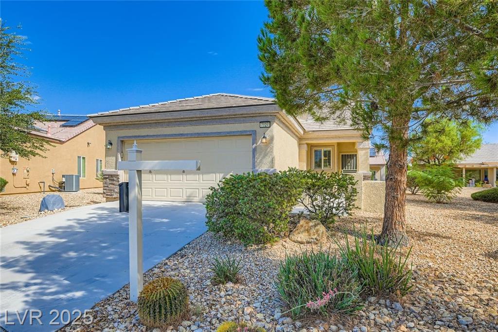 7824 Starthroat CT
