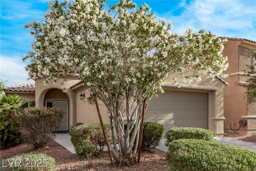 3005 Dotted Wren AVE