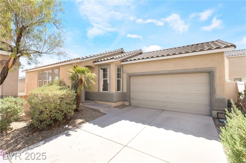 2521 Rainbow Cactus CT