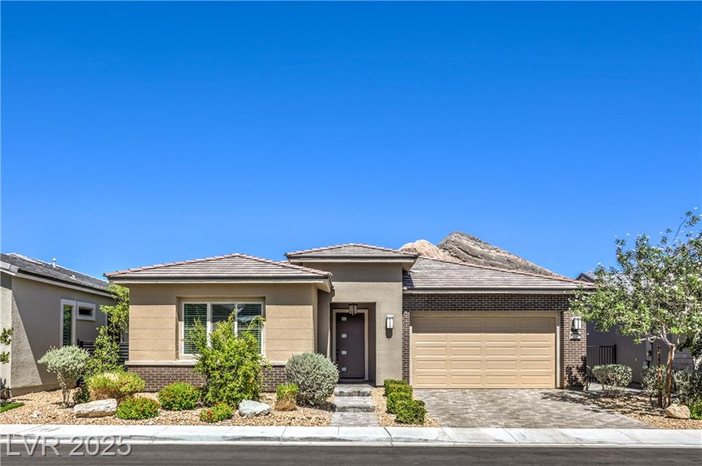 11080 Black Fire Opal DR