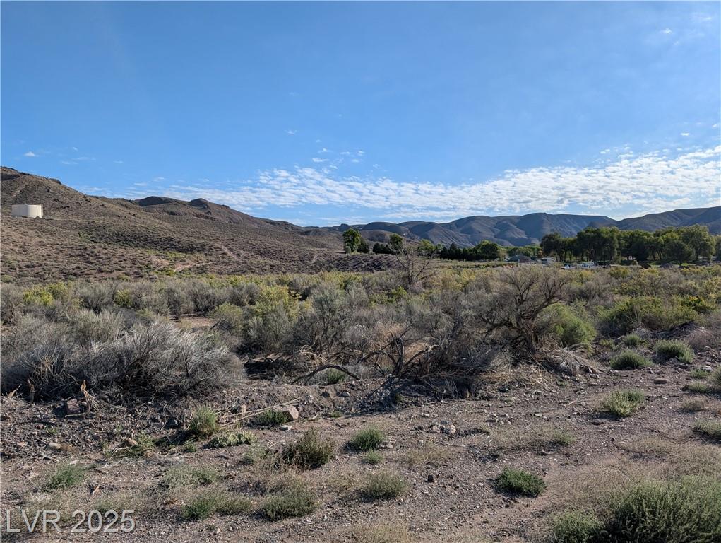  US Hwy 93 (19.14 Ac) 