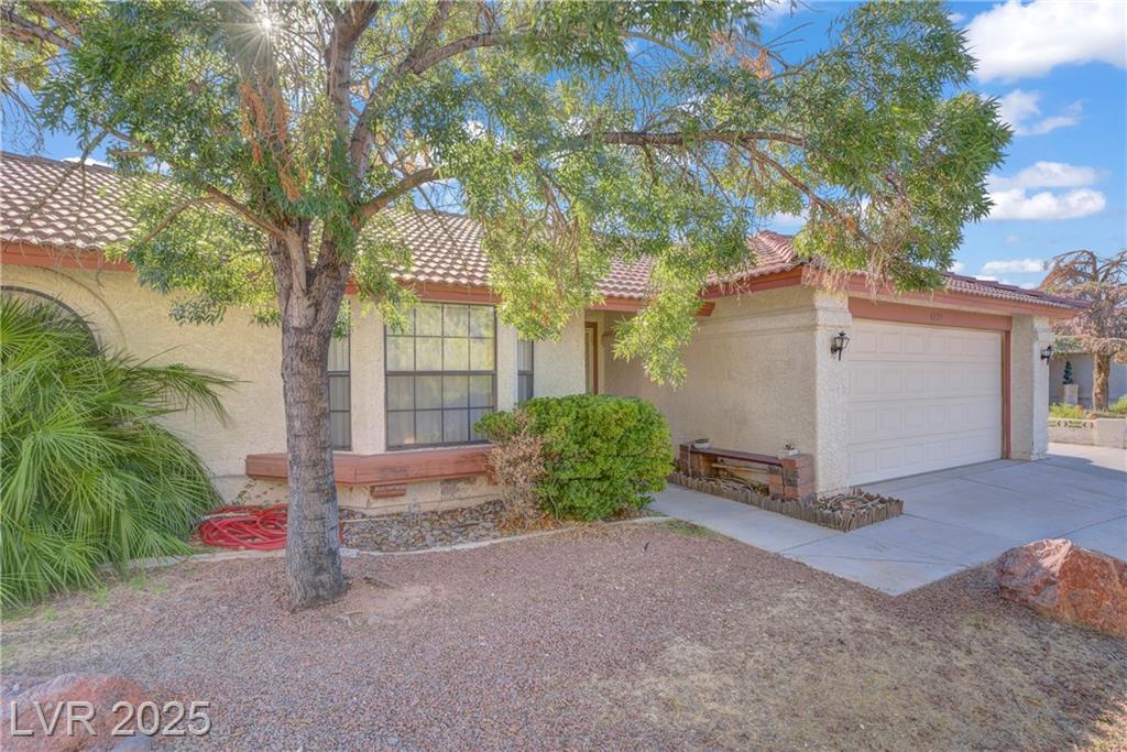 6225 Minerva DR