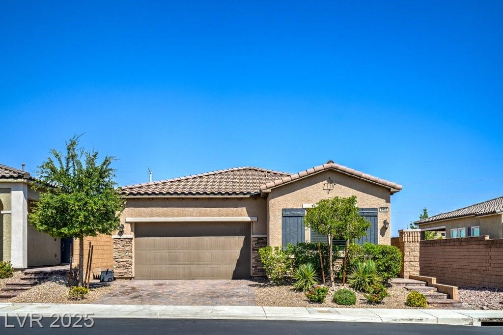 8138 Skye Dragon ST