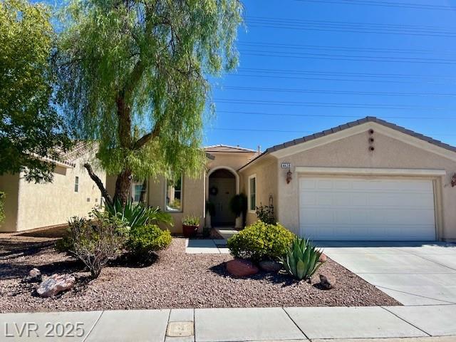 4438 Regalo Bello ST