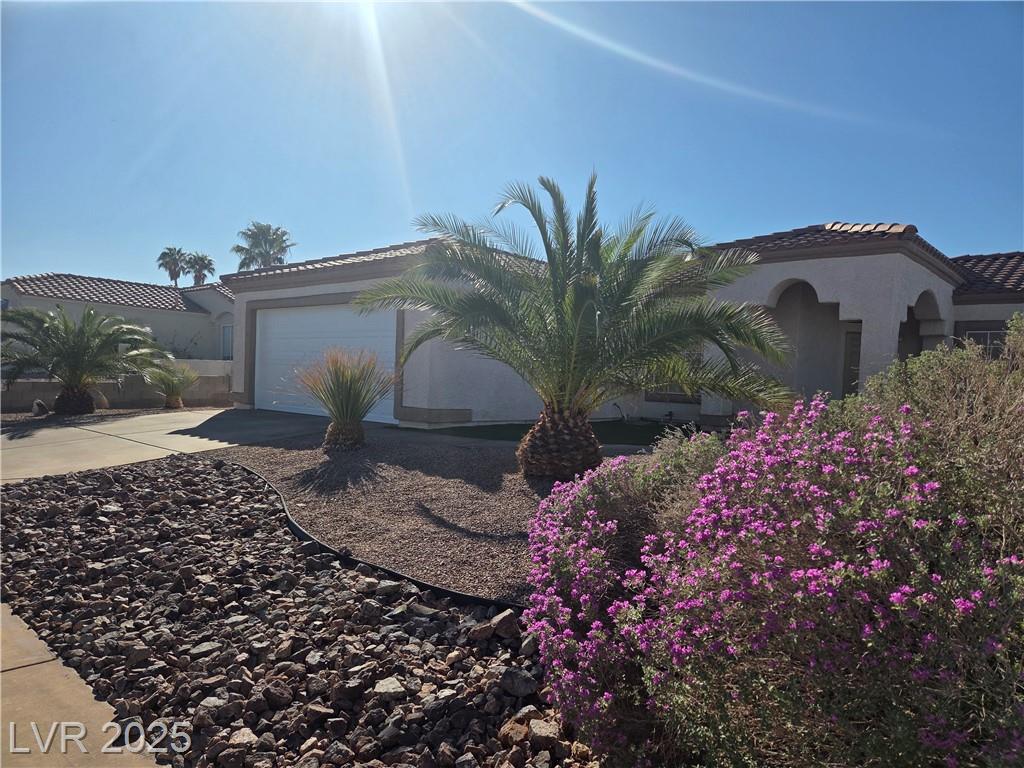 431 Opal DR