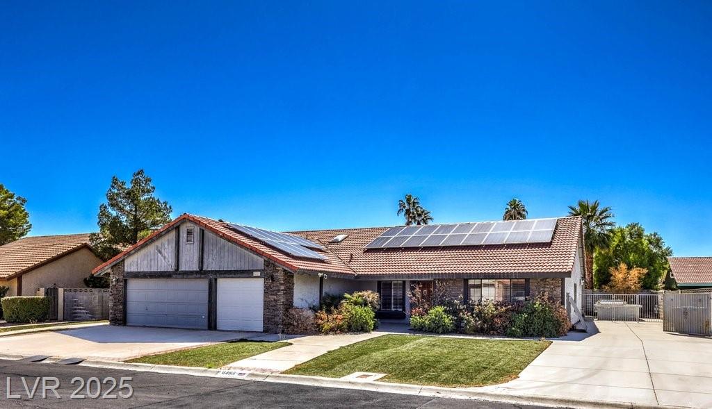6465 Scotch Pine CIR