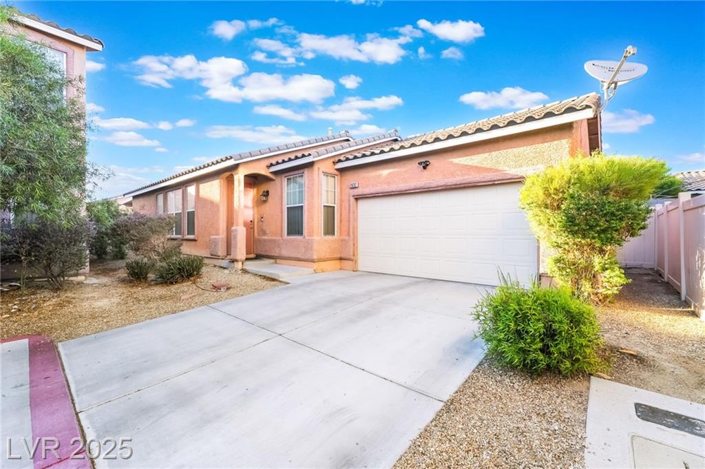 2632 Chin Cactus CT