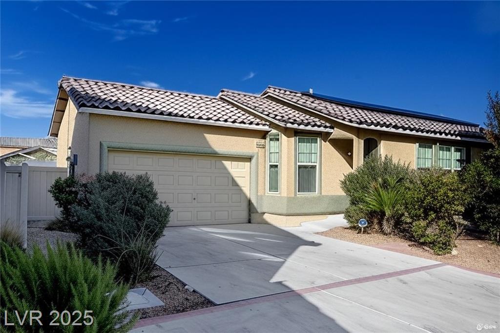 2520 Bottle Palm CT