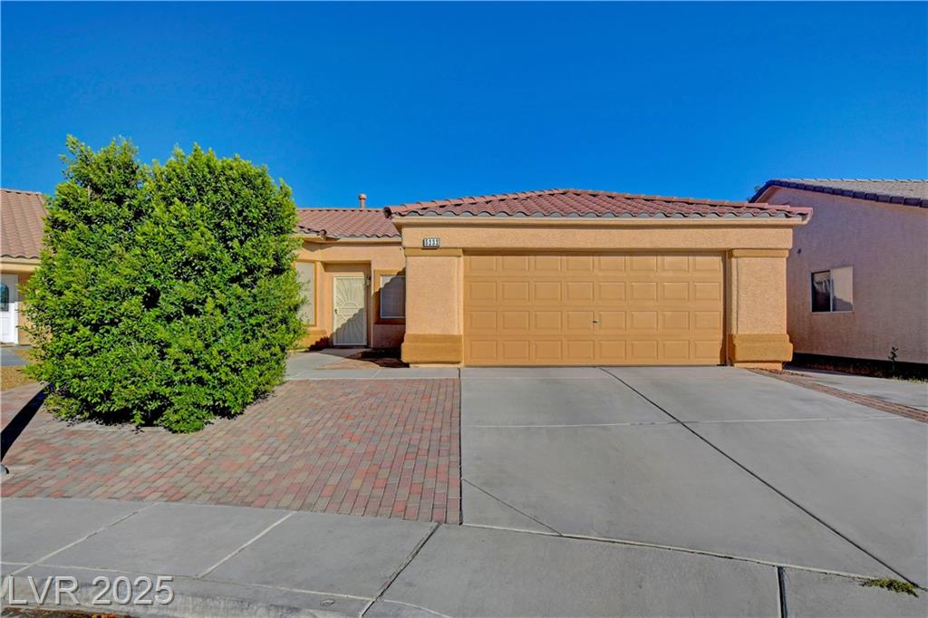 5232 Zebra CT