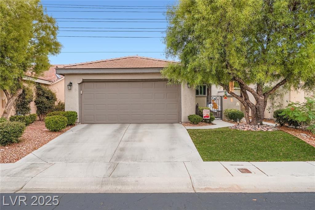 4826 Regalo Bello ST