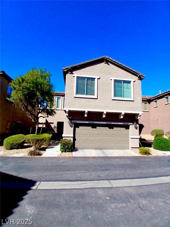 684 Calamus Palm PL