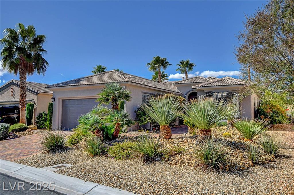 4459 REGALO BELLO ST