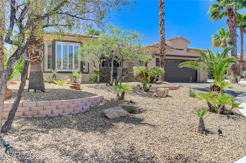 10237 Andante CT