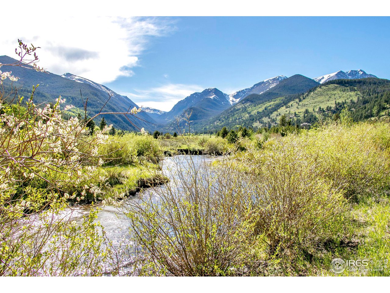 1630 Continental Peaks Cir