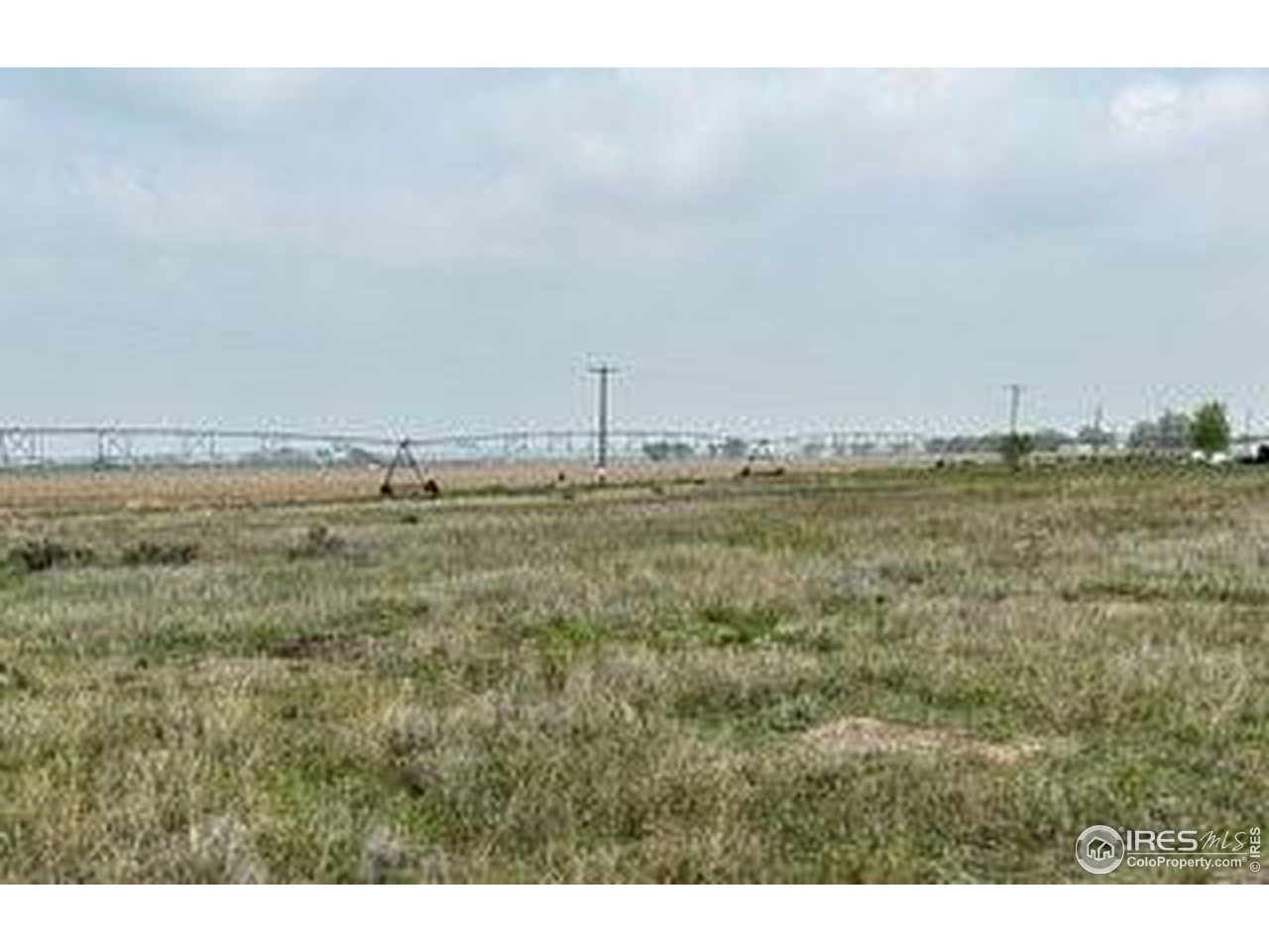 24154 Highway 144