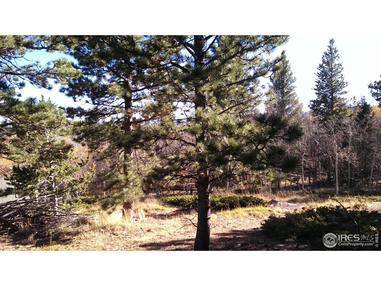 171 Spokane Ct