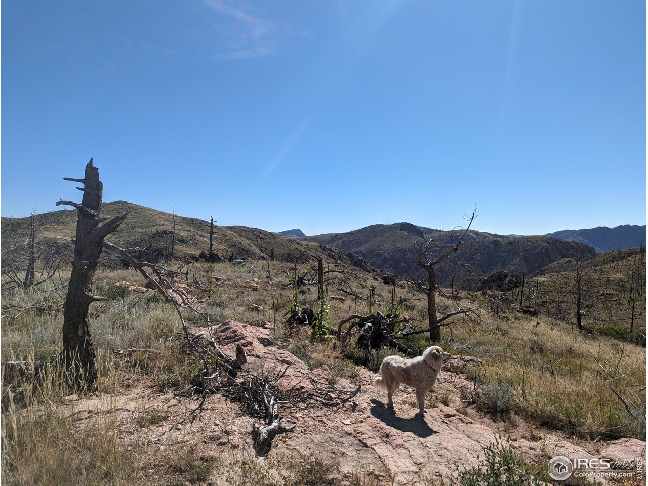1360 Meadow Mountain Dr