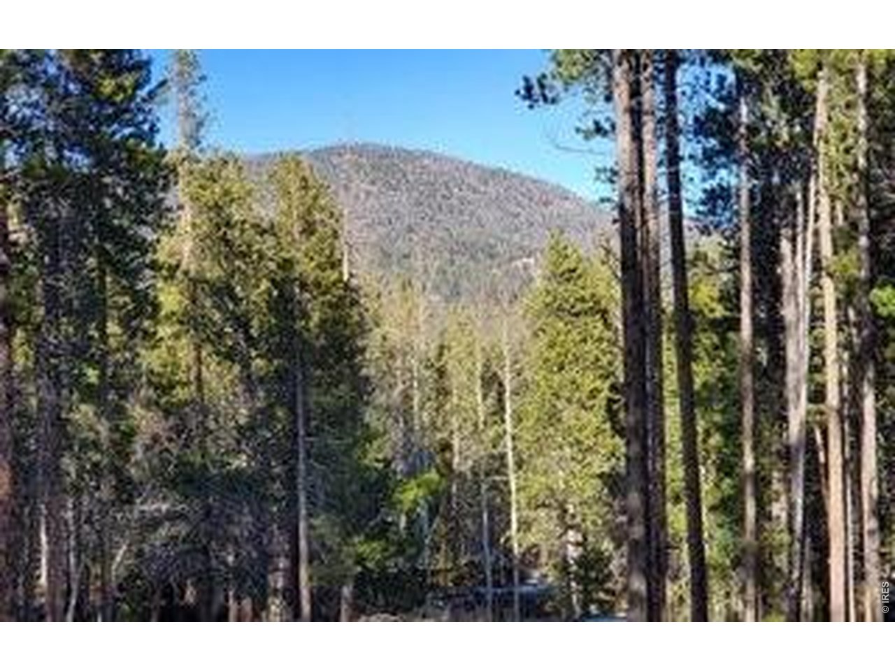 2581 Shoshoni Dr