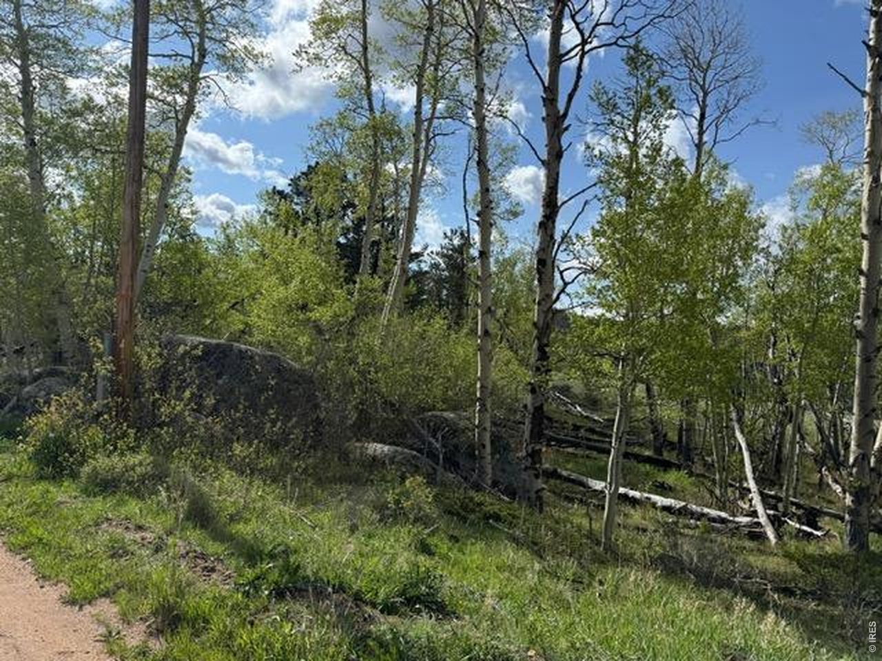 137 Cimarron Rd
