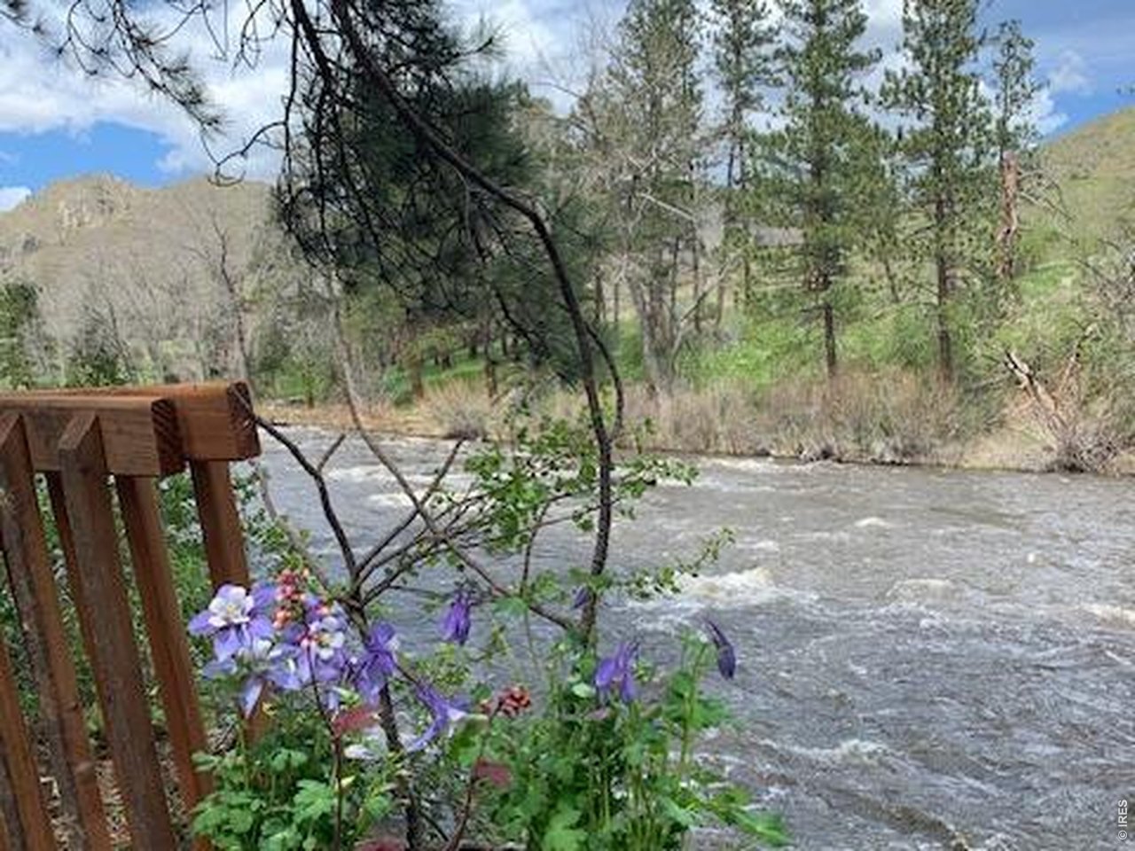 198 Poudre River Rd