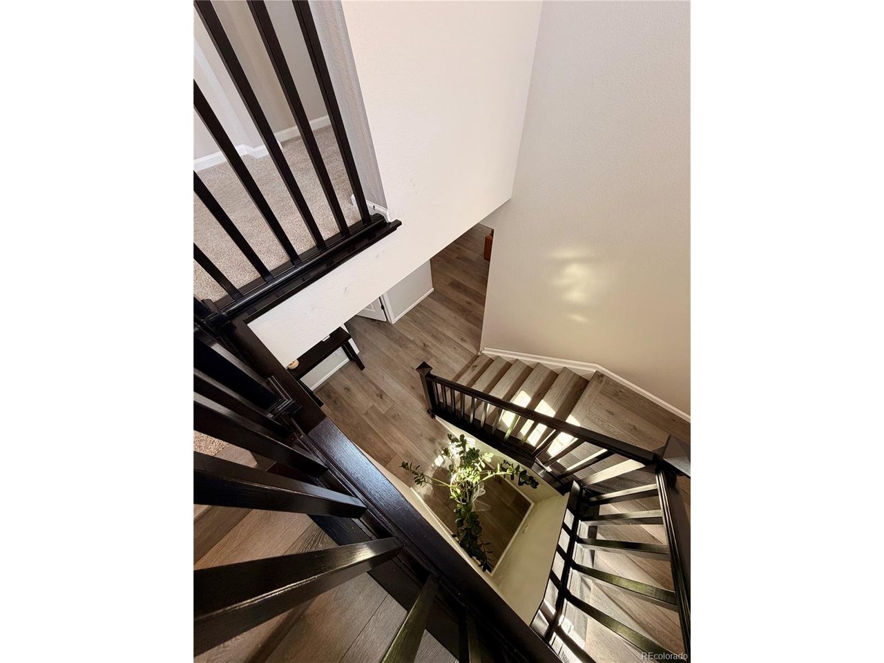 3490 Raintree Ln