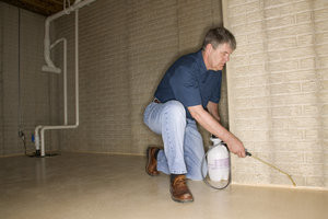 No Bed Bugs pest control in rental property