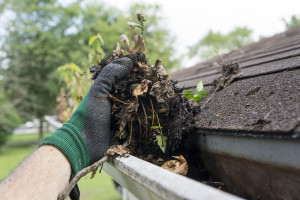 roof maintenance tips