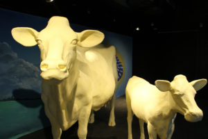 top 5 state fairs