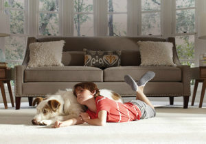 Young Child and a Cute Dog Laying on Fresh, Clean Carpet