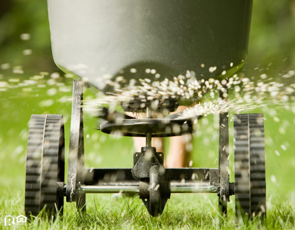 Fertilizer Pellets Spraying onto a Green Lawn Real Property