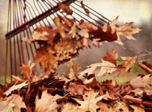 Fall Home Maintenance checklist