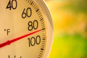 Using Outdoor Water Misters in Summertime
