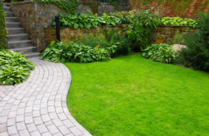 Low-Maintenance Summer Landscaping Tips