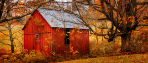 Fall Foliage in Oklahoma