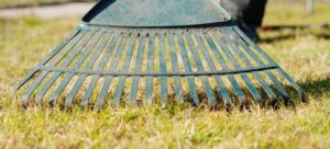 Tools for Fall Clean Up in Your Yard
