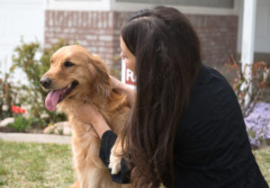 Pet-Friendly Renting can Increase rent Revenue