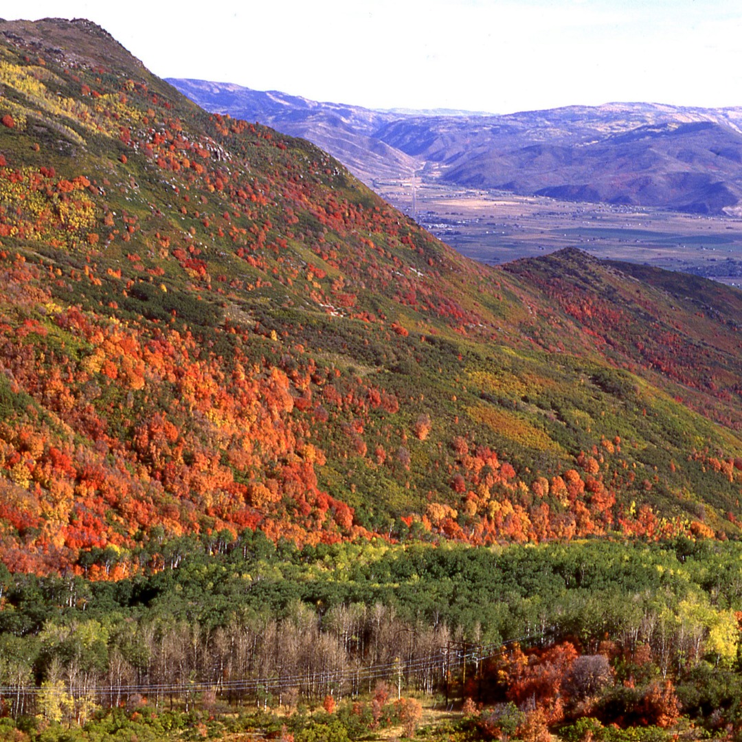 Smithfield Property Management Real Property Management Cache Valley