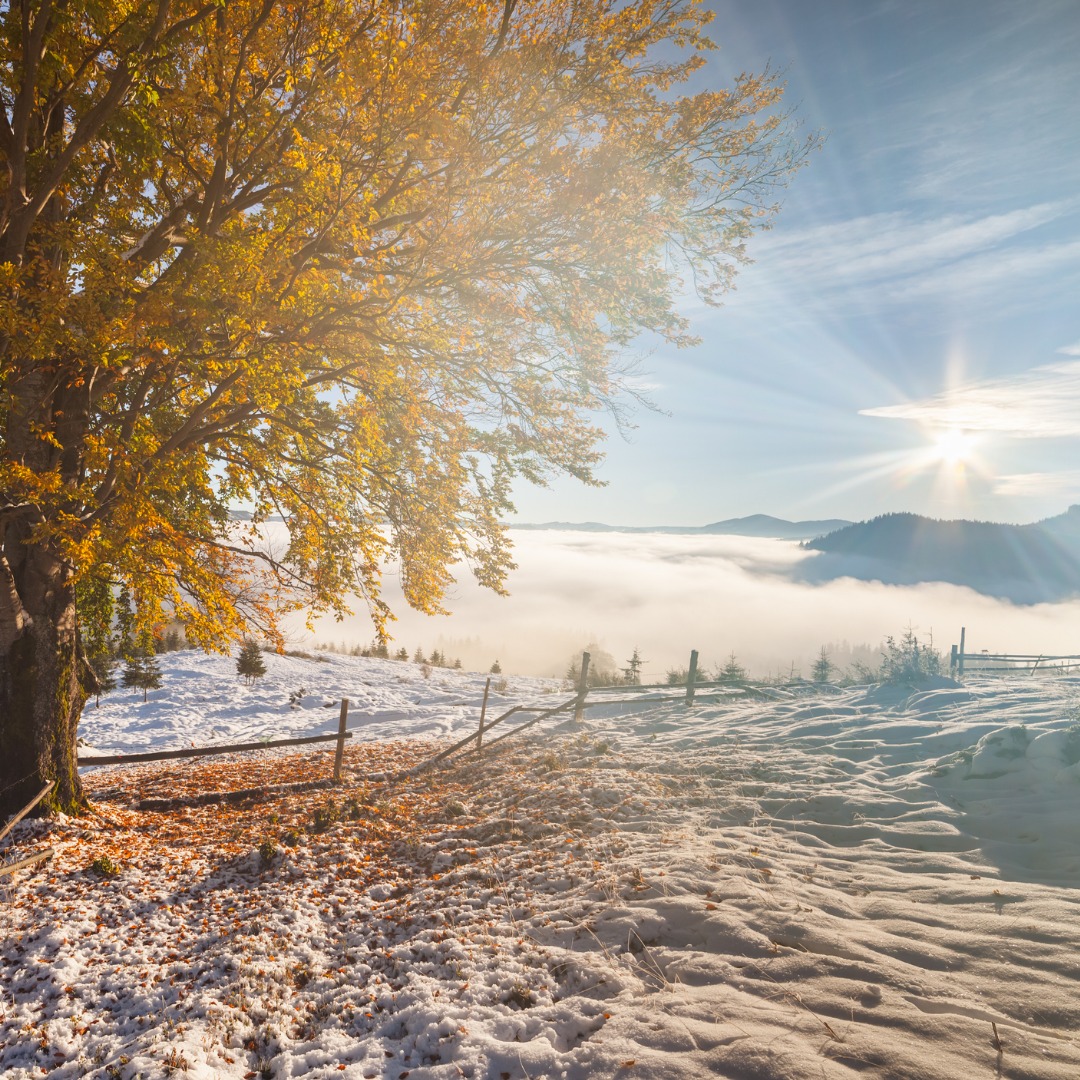 Blackfoot Property Management Real Property Management Pocatello