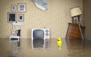 Protect Your Home from Water Damage