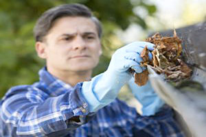 Citywide RPM Atlanta - Landlord Obligations Fall Conyers