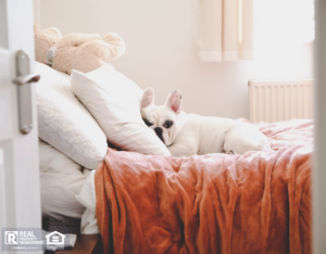 White French Bulldog Sleeping on Bed in Loganville Rental