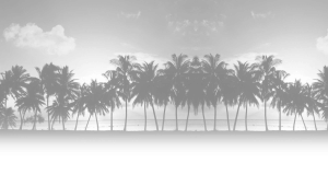 vacation